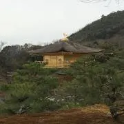 佐々剛の画像