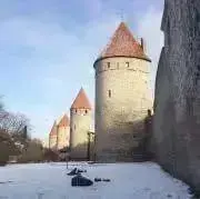 おにくの画像