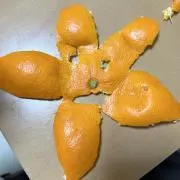和の画像