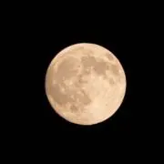 LUNA《全て匿名配送》の画像
