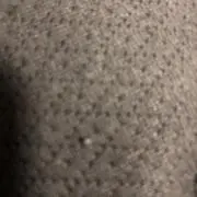 101418