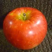 みかんの画像