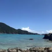 はなの画像