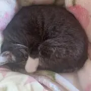 くろーばー♧プロフ一読願います♧の画像