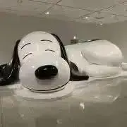 ☆Shin☆の画像