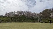 かんの画像
