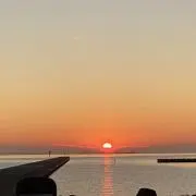 Sunnyの画像