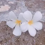 minの画像