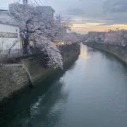 ハイボールの画像