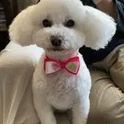 じゅ