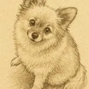 ゆうらんの画像