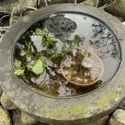 kyn69の画像