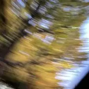 オリゴ糖の画像