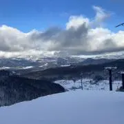 セブンスター