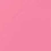 あんずの画像