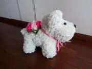 roseの画像