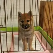 ミルぽん