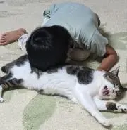 あこ　⚠プロフィール要確認⚠の画像