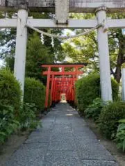 step1173の画像
