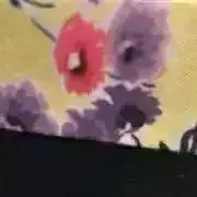 はなの画像
