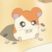 9/8から発送開始の画像