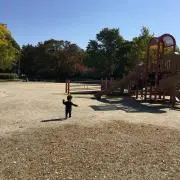 ぽんぬふの画像