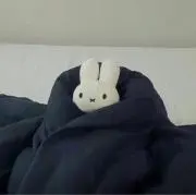 まるっこの画像