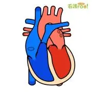 ナナナの画像