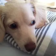 りーちゃん