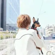 ぐみぐみの画像