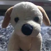 エルちゃんの画像