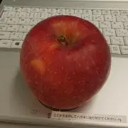 cooの画像
