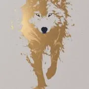 アキラの画像