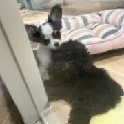 夢七の画像