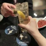 ジンバックの画像