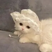 あの画像