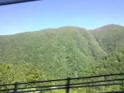 Image of なみこ