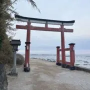 ワイハの画像
