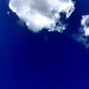 manapuu