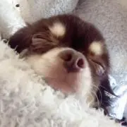 G☆Mの画像