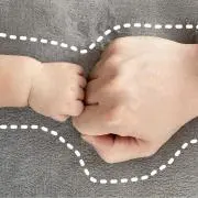 さくらの画像