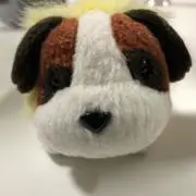 ちーの画像