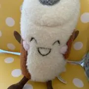 ぴかりの画像