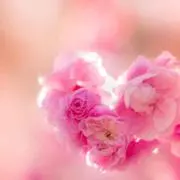 ♥︎♡