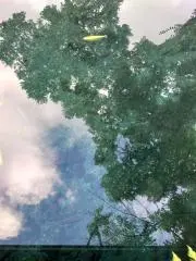 M◎の画像