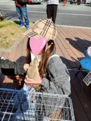 ニコカヤ(o^－^o)の画像