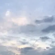 ここたろの画像