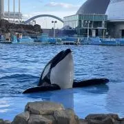 あーす※匿名配送※の画像