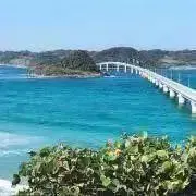 ゆみの画像