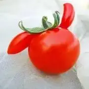 とまと